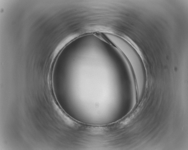 X0000081581293200701291230