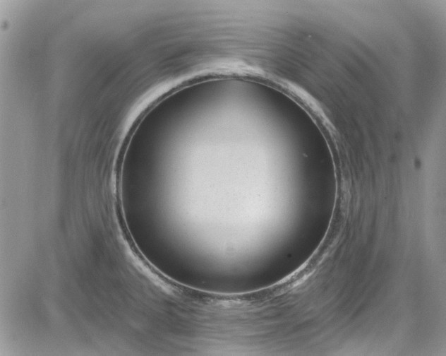 X0000081581335200701291230