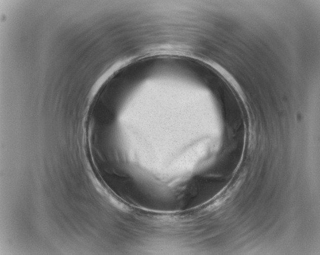 X0000081581341200701291230