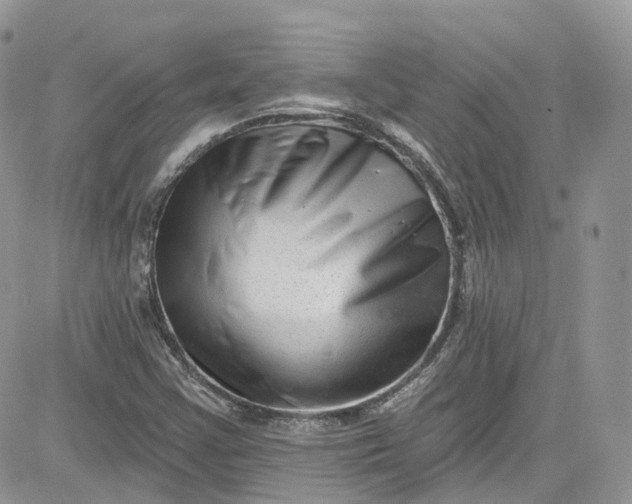 X0000081581355200701291229