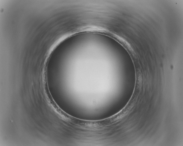 X0000081581375200701291229