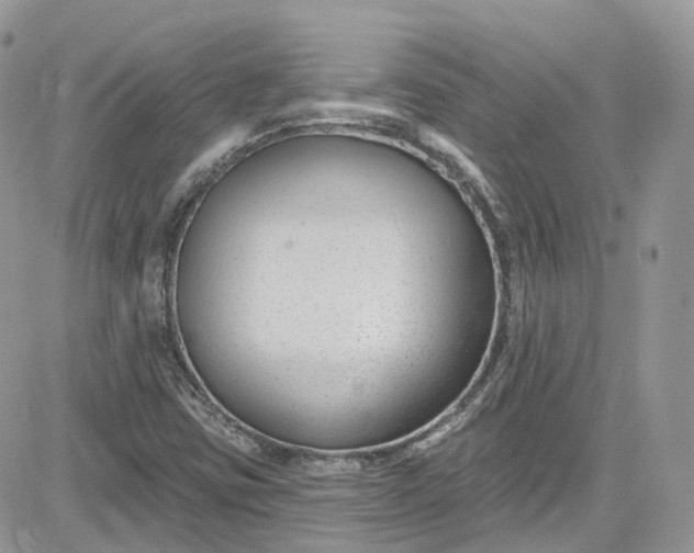 X0000081581403200701291228