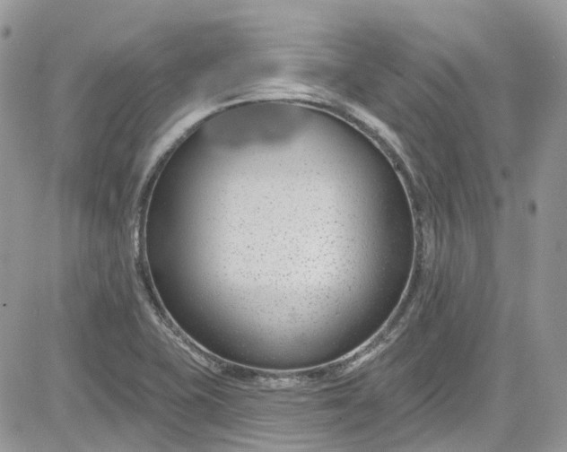 X0000081581415200701291228