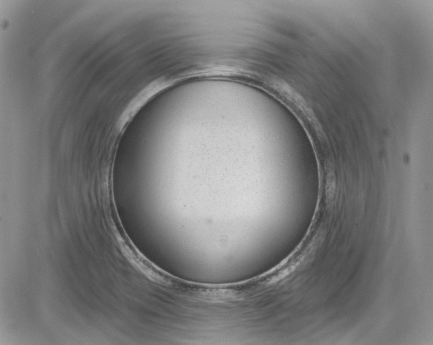 X0000081581417200701291228