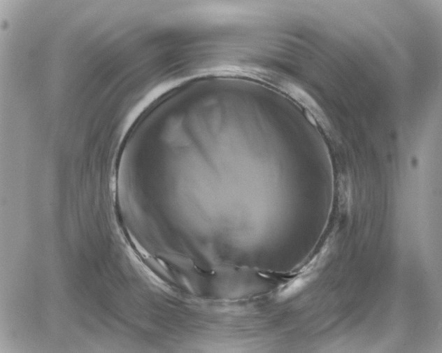 X0000081581428200701291229