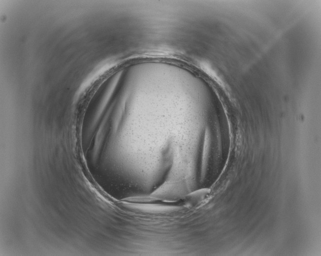 X0000081581456200701291228