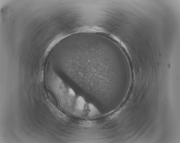 X0000081581459200701291228
