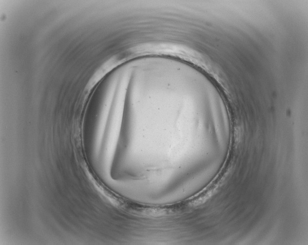 X0000081581521200701291227