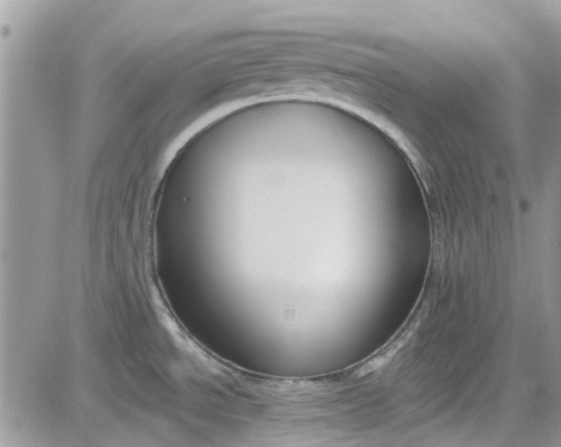 X0000081581534200701291227