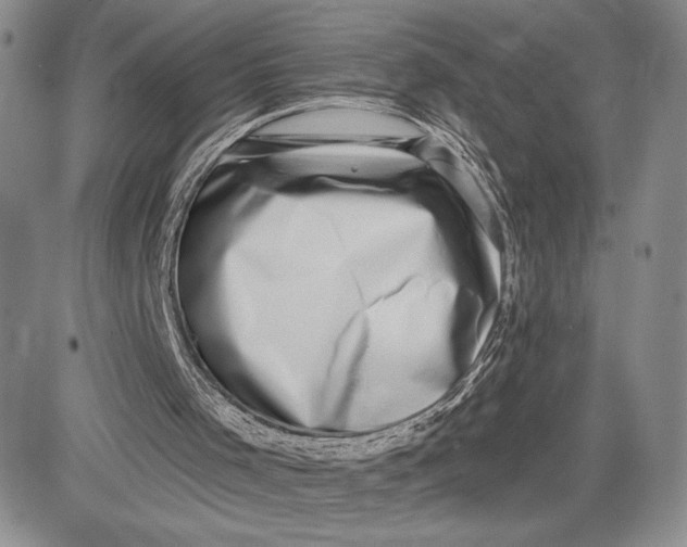 X0000081580001200702051251