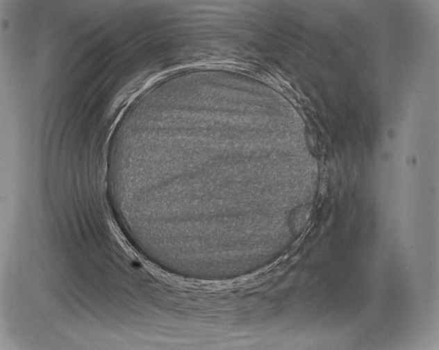 X0000081580002200702051251