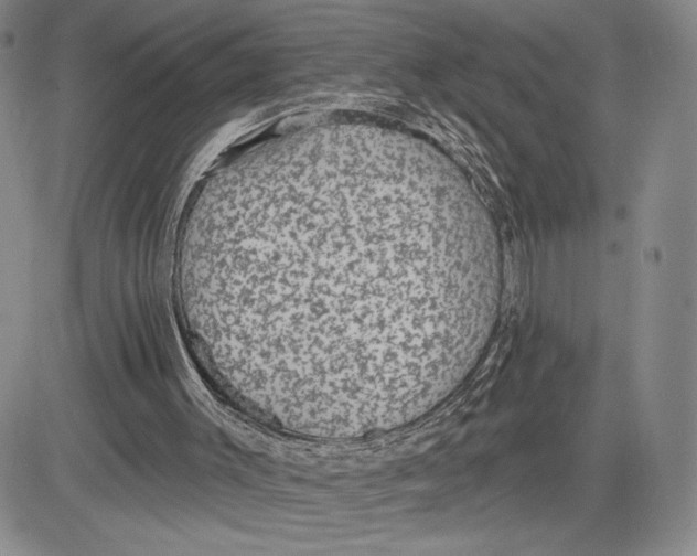 X0000081580003200702051251