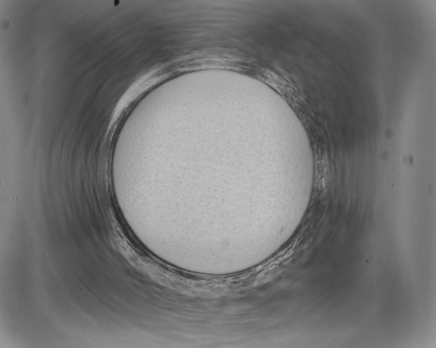 X0000081580004200702051251