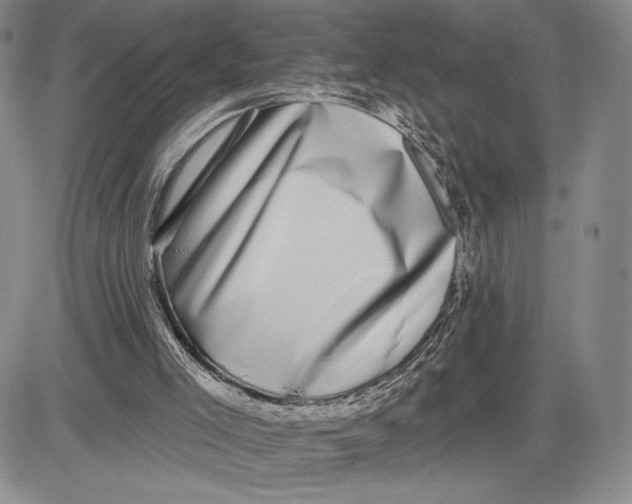 X0000081580005200702051251