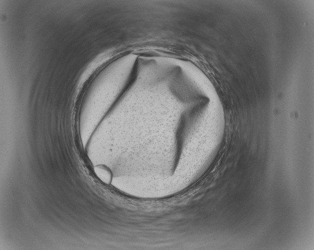 X0000081580006200702051251