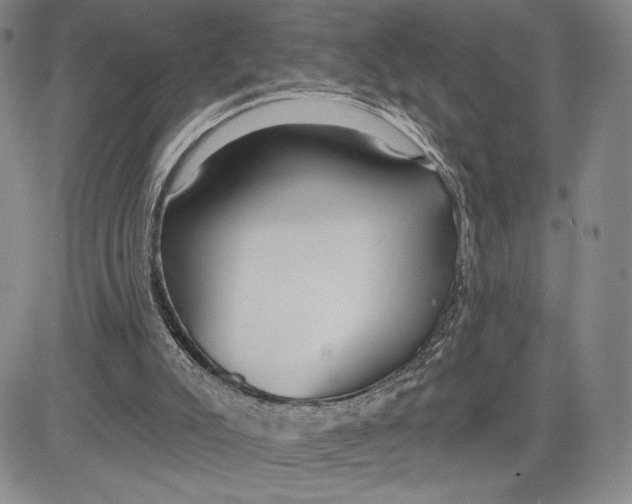 X0000081580007200702051251