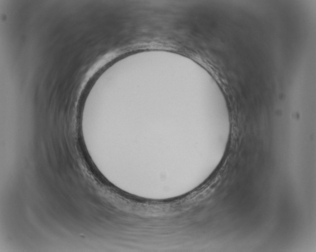 X0000081580008200702051251