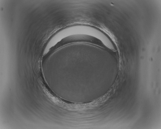 X0000081580009200702051251