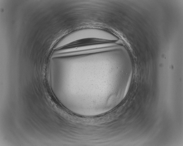 X0000081580010200702051251