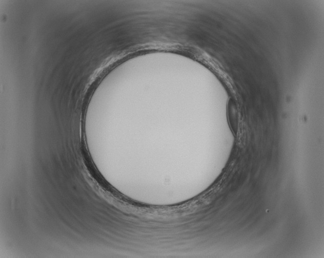 X0000081580011200702051250