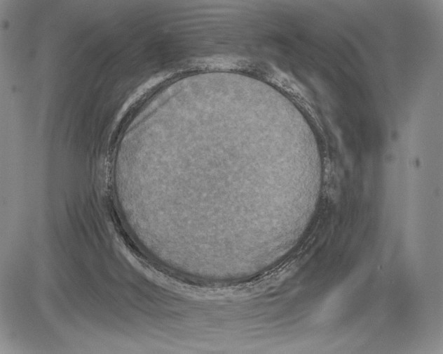 X0000081580012200702051250