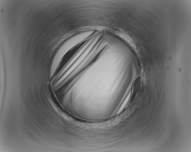 X0000081580013200702051250