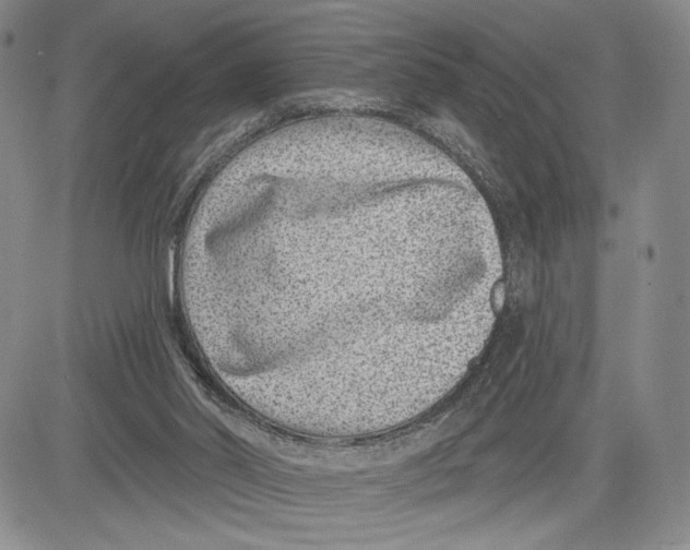 X0000081580014200702051250