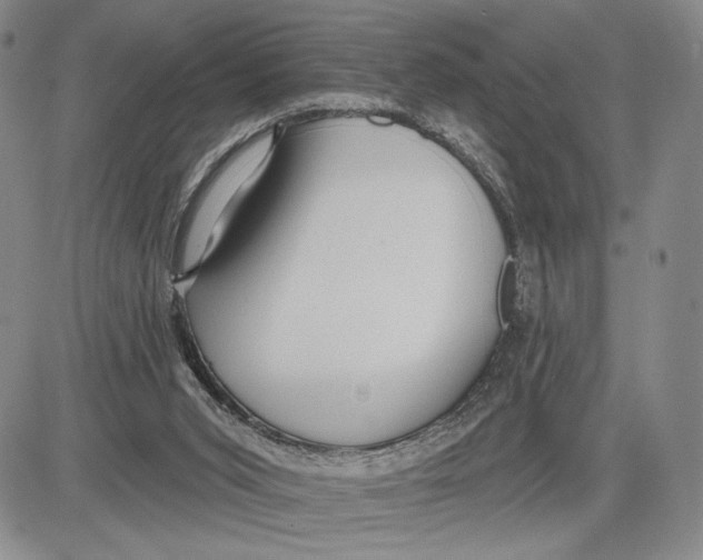 X0000081580015200702051250