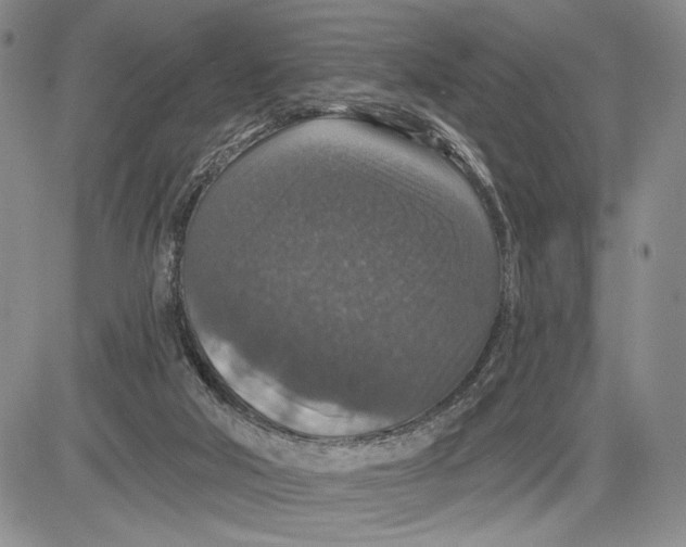 X0000081580018200702051250