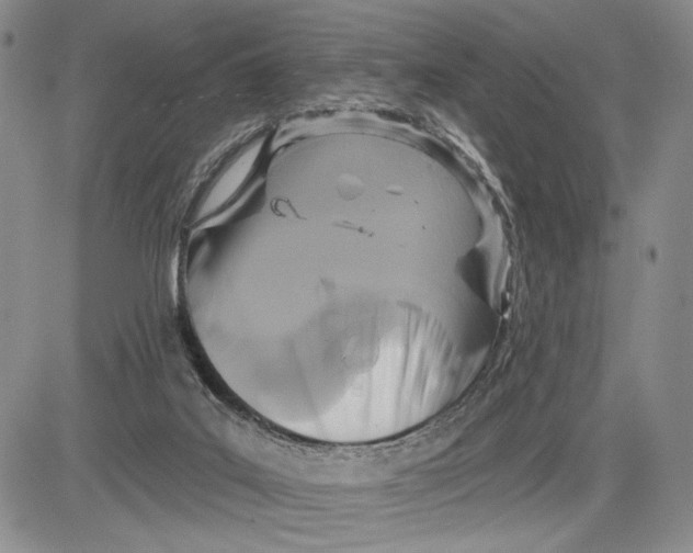 X0000081580019200702051250