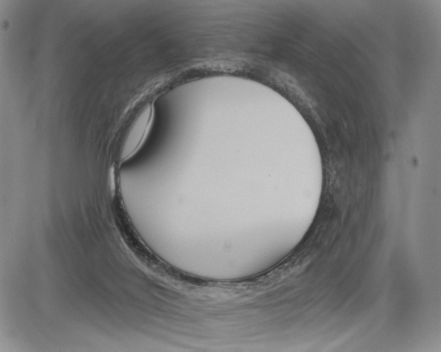 X0000081580020200702051250