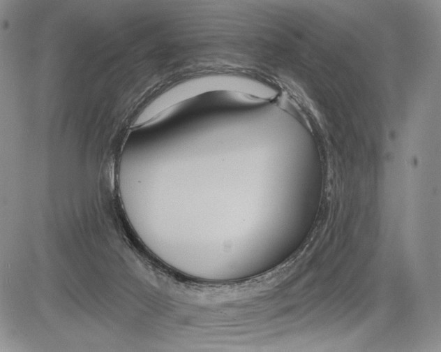 X0000081580021200702051250