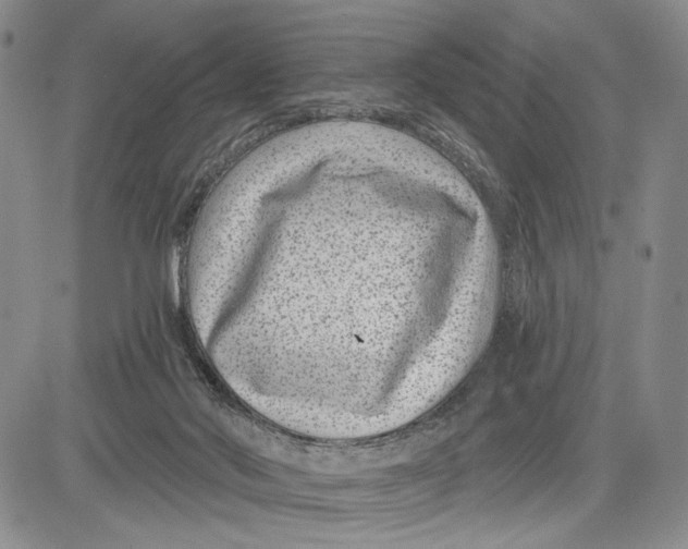 X0000081580022200702051250