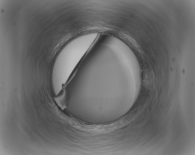 X0000081580023200702051250