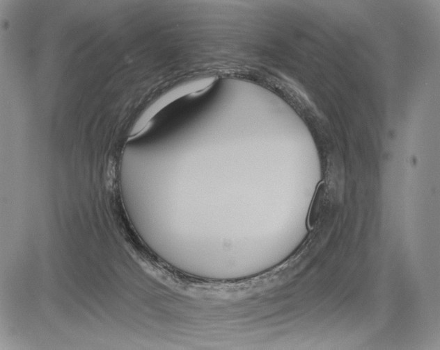 X0000081580025200702051250