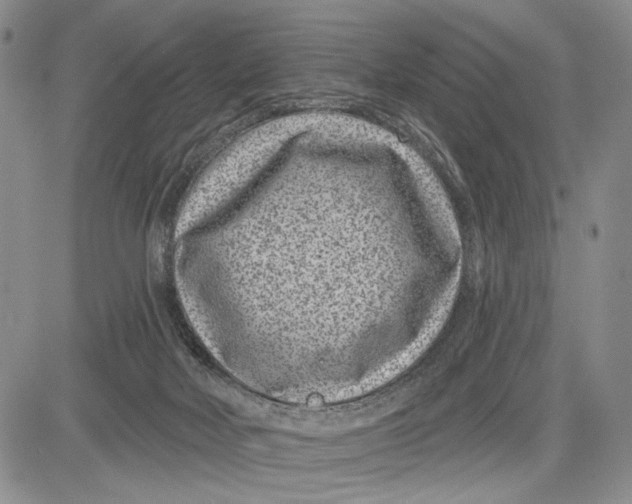 X0000081580026200702051250