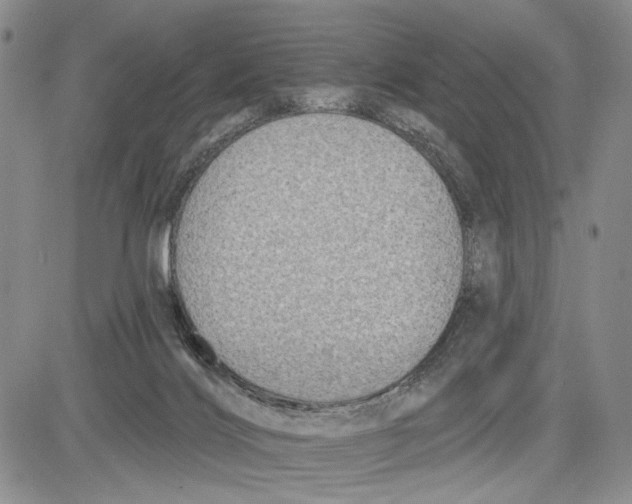 X0000081580028200702051250