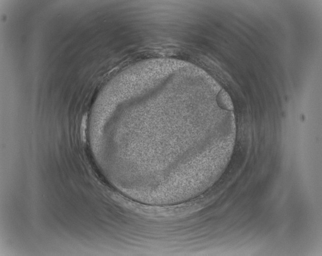 X0000081580030200702051250