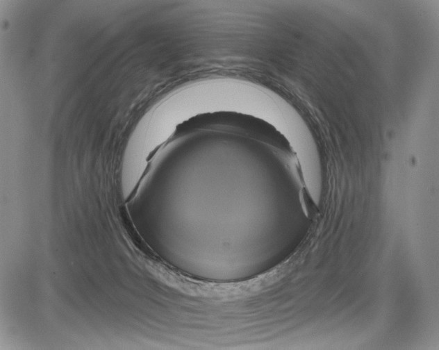 X0000081580031200702051250