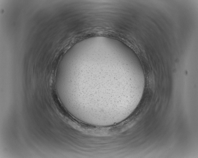 X0000081580032200702051250