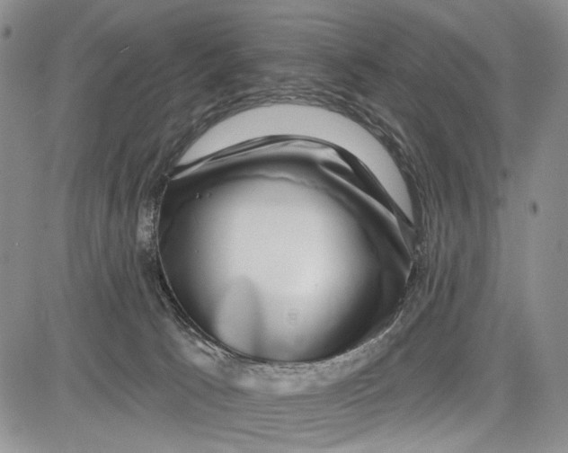 X0000081580033200702051250