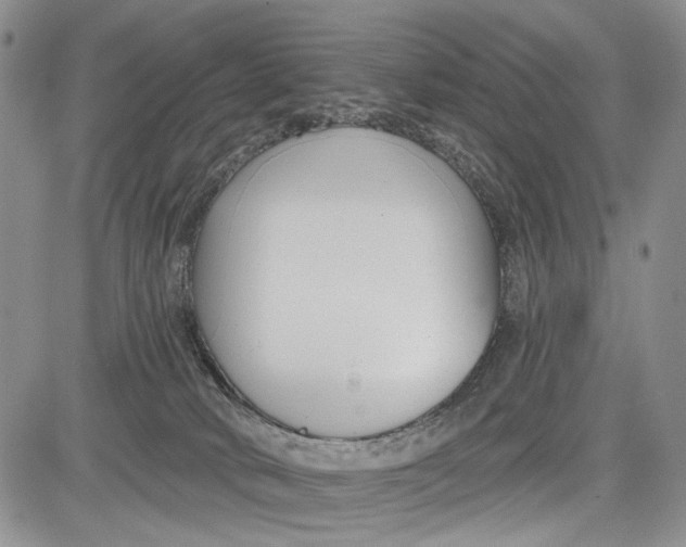 X0000081580034200702051250