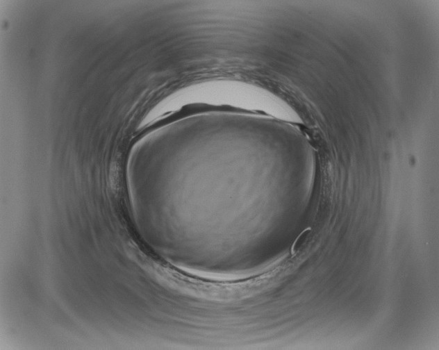 X0000081580035200702051250