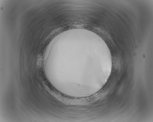 X0000081580036200702051250