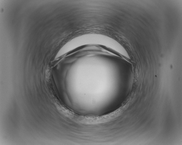 X0000081580037200702051250