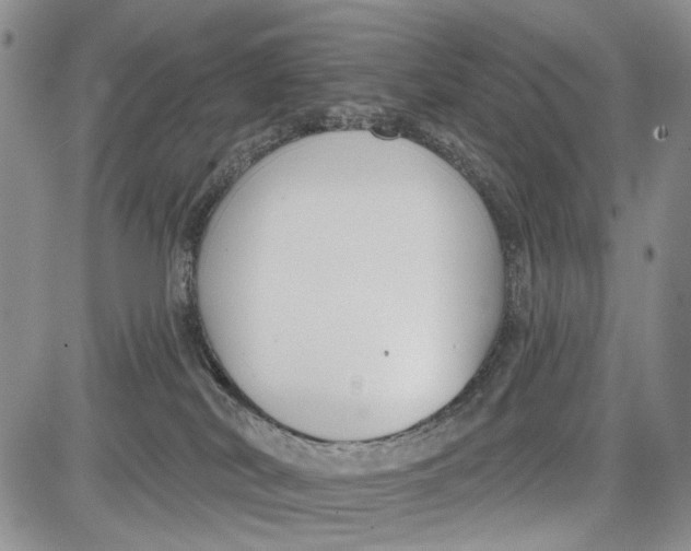 X0000081580038200702051250