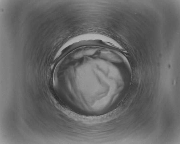 X0000081580039200702051250