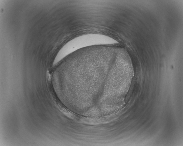 X0000081580041200702051250