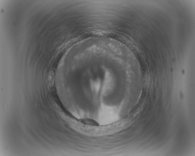 X0000081580043200702051250