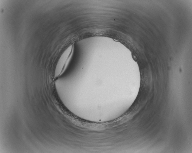 X0000081580044200702051250